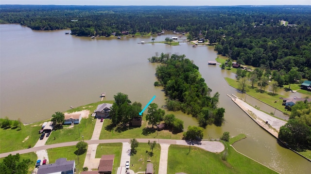 48 Lake View Dr, Huntsville, TX 77320 - aerial view of a forest and a large body of water