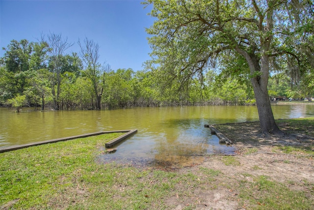 48 Lake View Dr, Huntsville, TX 77320 - dock with a water view