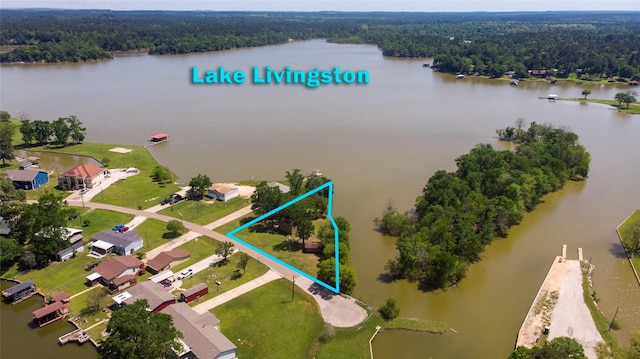 48 Lake View Dr, Huntsville, TX 77320 - aerial view of property and surrounding area with a large body of water, a forest, and property parcel outlined