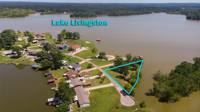 48 Lake View Dr, Huntsville, TX 77320 - aerial overview of property's location featuring a large body of water, property boundaries highlighted, and a forest