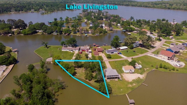48 Lake View Dr, Huntsville, TX 77320 - aerial perspective of suburban area with a nearby body of water, property parcel outlined, and a heavily wooded area