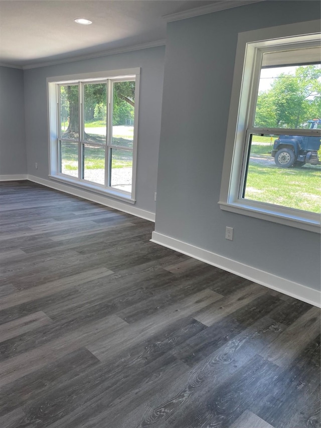 empty room featuring baseboards, crown molding, and a healthy amount of sunlight