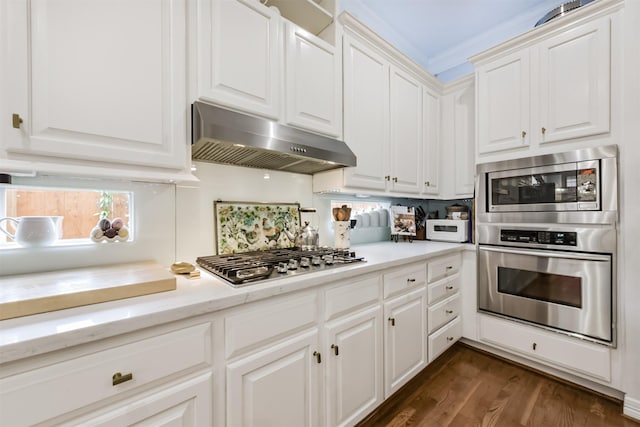 1301 Ketch Ct, League City, TX 77573 - kitchen with appliances with stainless steel finishes, under cabinet range hood, white cabinetry, and dark wood finished floors