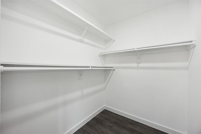 walk in closet featuring dark wood-type flooring