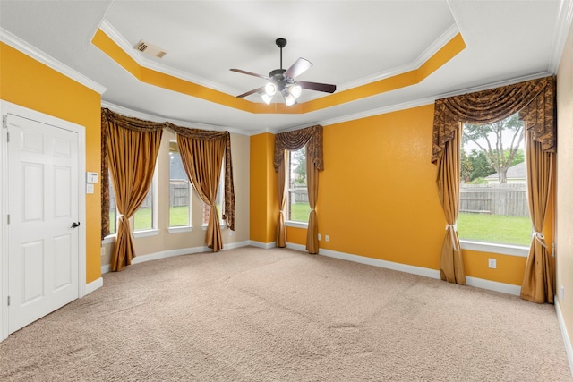 empty room with crown molding, a wealth of natural light, and a raised ceiling