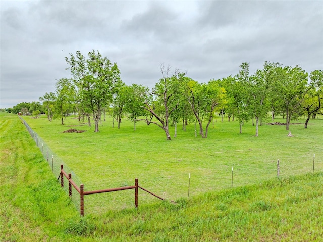1189 Fm 935, Lott, TX 76656 - view of yard