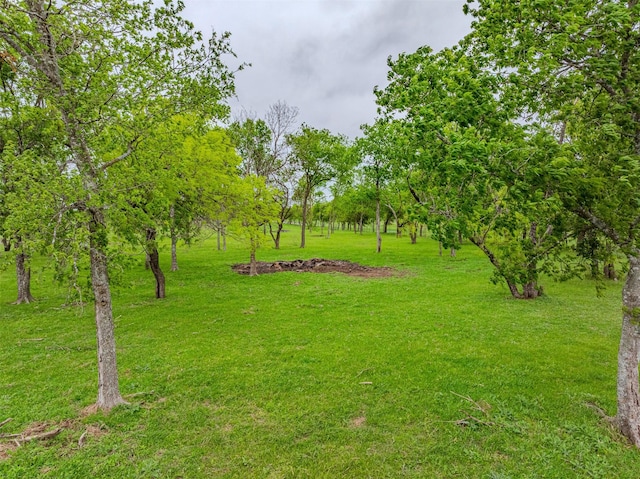 1189 Fm 935, Lott, TX 76656 - view of yard