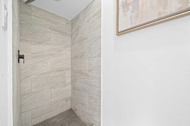 4731 N Cashel Cir, Houston, TX 77069 - full bath with tiled shower
