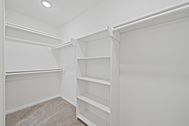 4731 N Cashel Cir, Houston, TX 77069 - spacious closet featuring carpet flooring