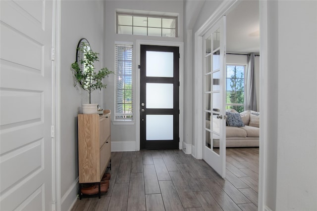 2736 Ahnya Ln, League City, TX 77573 - entryway with wood finished floors, plenty of natural light, and baseboards