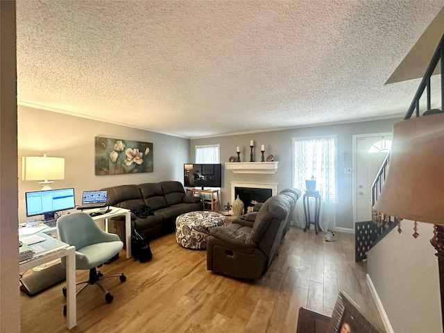6452 Kentwick Dr, Houston, TX 77084 - living room with baseboards, plenty of natural light, ornamental molding, a textured ceiling, and wood finished floors