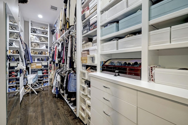 spacious closet with visible vents and dark wood-style flooring