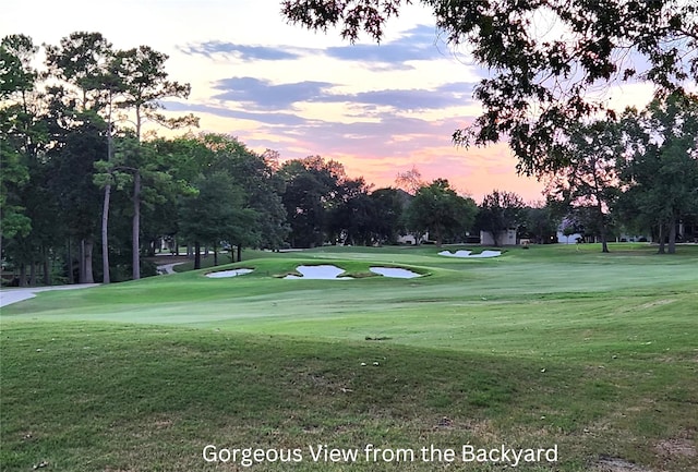 38 Fairway Park, Montgomery, TX 77356 - surrounding community featuring view of scattered trees, a lawn, and golf course view