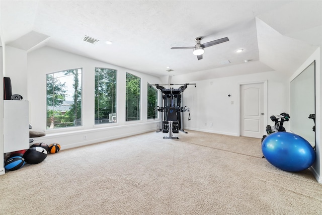 exercise area featuring carpet flooring, baseboards, visible vents, and a wealth of natural light