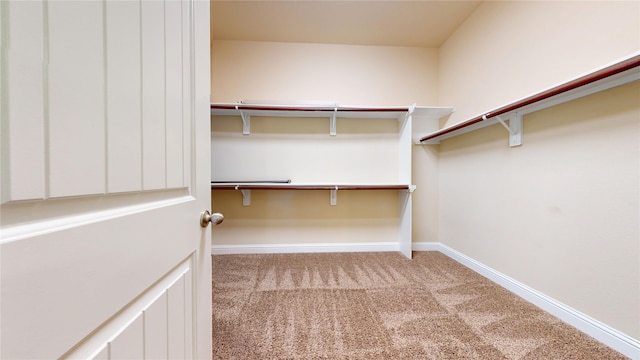 2135 Llerena Ln, League City, TX 77573 - spacious closet with carpet flooring
