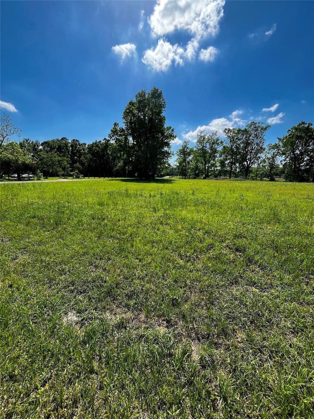 205 County Road 2271, Cleveland, TX 77327 - photo 1