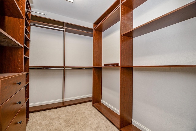 spacious closet featuring carpet floors