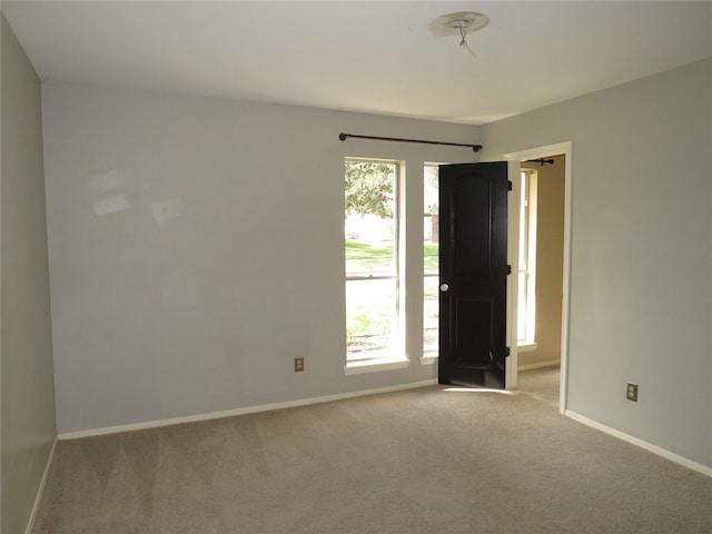 empty room with carpet, a wealth of natural light, and baseboards