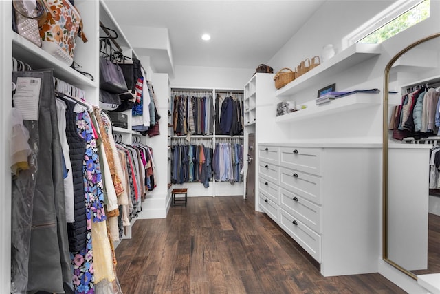 walk in closet with dark wood-style floors