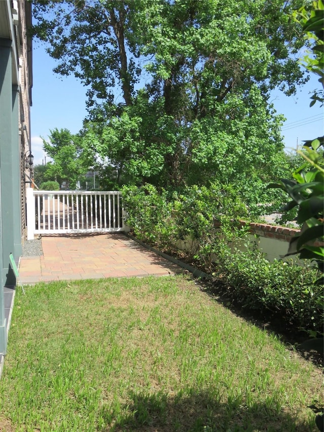 8624 Emnora Ln, Houston, TX 77080 - view of green lawn