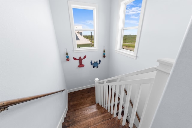 stairs featuring baseboards and wood finished floors