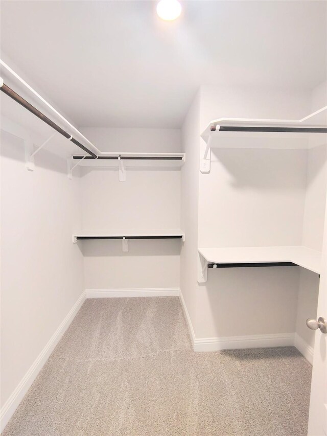 601 Greystone Ln, Angleton, TX 77515 - walk in closet with carpet flooring