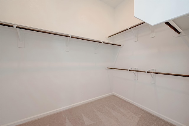 walk in closet featuring light carpet