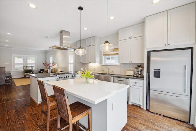 kitchen featuring range hood, dark wood-type flooring, recessed lighting, a sink, and stainless steel appliances