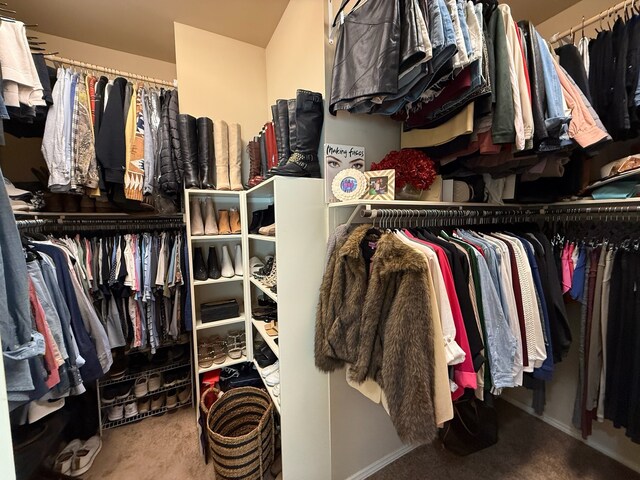 29046 Davenport Dr, Katy, TX 77494 - spacious closet with carpet floors