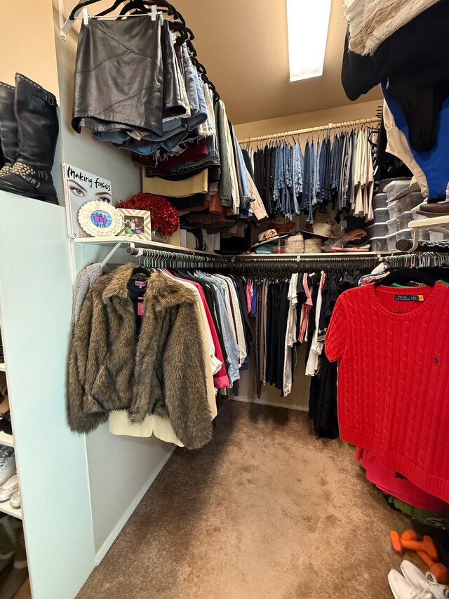 29046 Davenport Dr, Katy, TX 77494 - spacious closet with carpet flooring