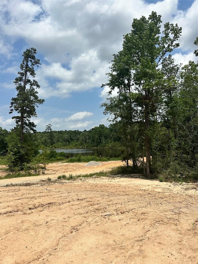 11763 Oakwood Ranch Dr, Willis, TX 77378 - view of woods with a water view