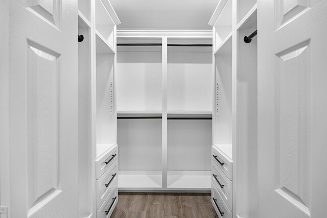 spacious closet with dark wood-type flooring