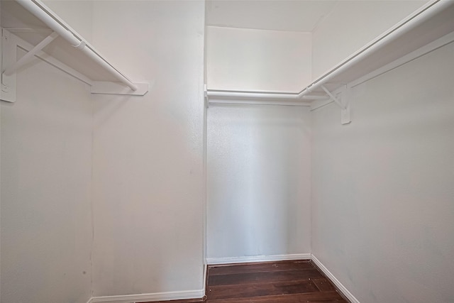 7727 N Friesian Meadow Ln NW, Humble, TX 77338 - spacious closet with dark wood-style floors