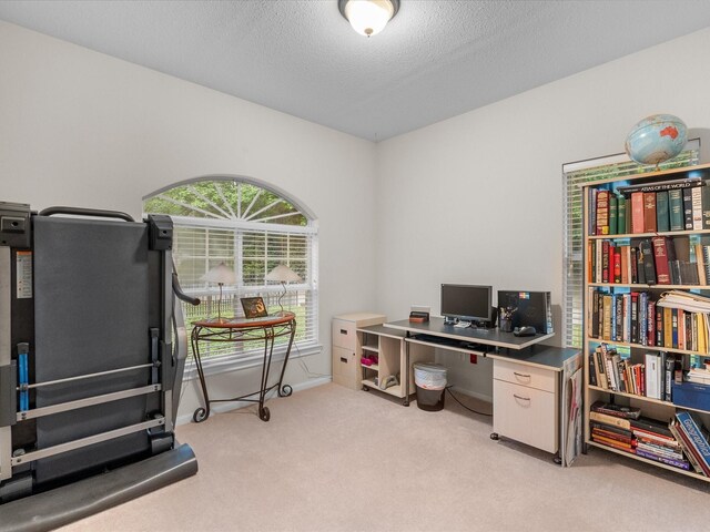 23443 Hillcrest Dr, Hockley, TX 77447 - photo 20