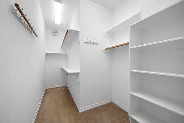 spacious closet featuring carpet floors