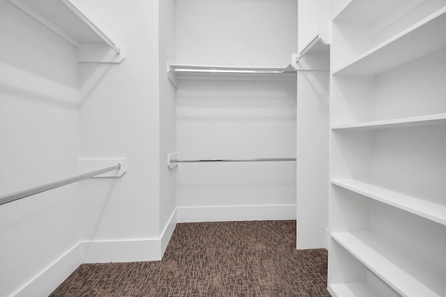 spacious closet with carpet flooring
