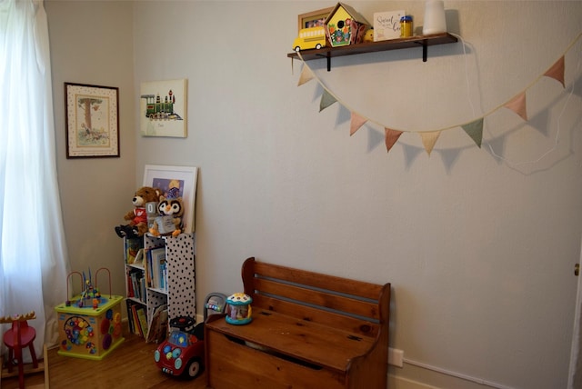 interior space with wood finished floors