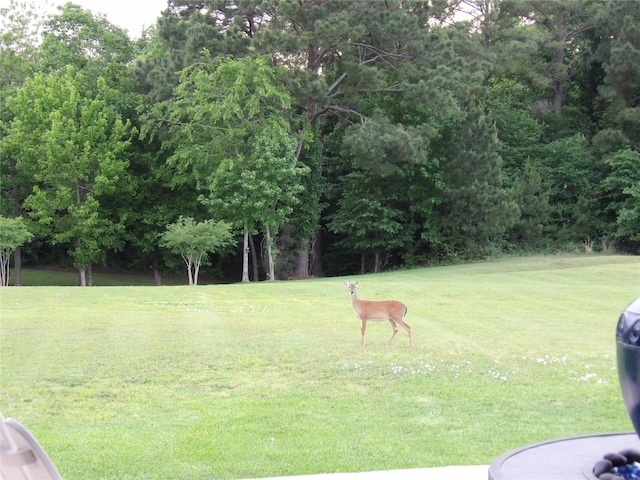 89 Grandview Blvd, Montgomery, TX 77356 - view of green lawn