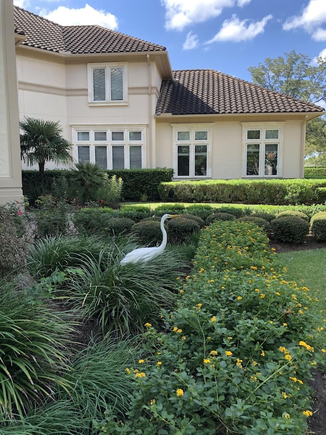 rear view of property featuring a tiled roof and stucco siding