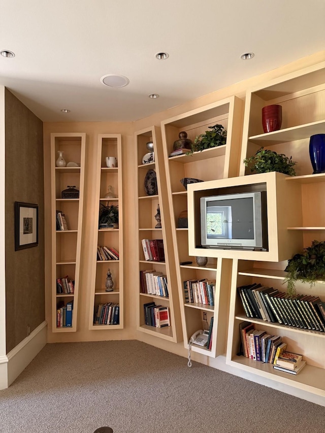 sitting room featuring carpet flooring