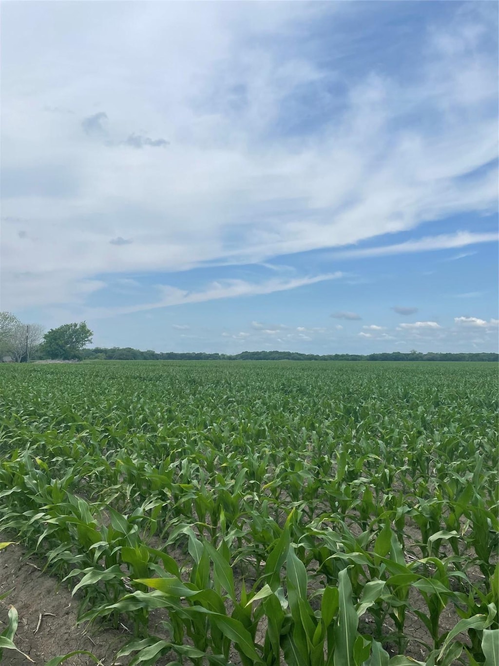 5604 Fm 2431 W, Bay City, TX 77456