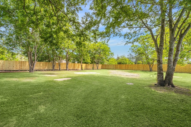 view of yard with a fenced backyard