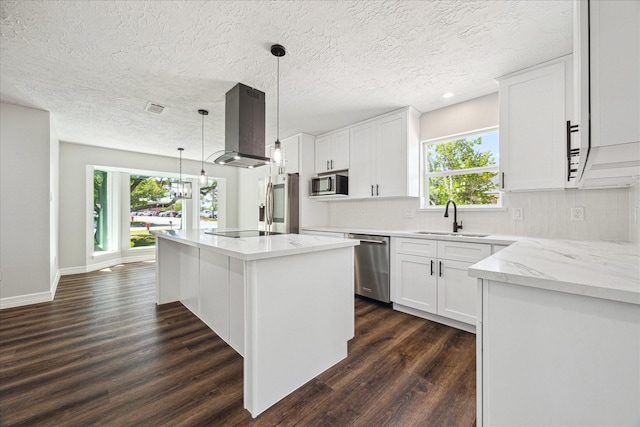 kitchen featuring a sink, ventilation hood, a wealth of natural light, dark wood finished floors, and stainless steel appliances