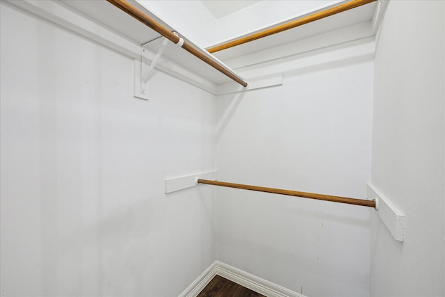 spacious closet featuring dark wood-style flooring