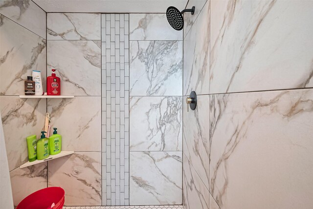 11423 Corola Trail Dr, Houston, TX 77066 - full bathroom featuring a tile shower