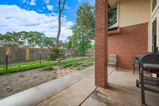 11423 Corola Trail Dr, Houston, TX 77066 - fenced backyard featuring a patio and grilling area