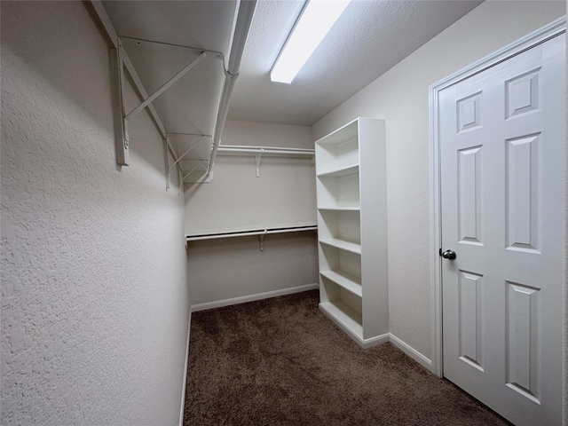 24410 Bludana Ln, Richmond, TX 77406 - walk in closet featuring carpet