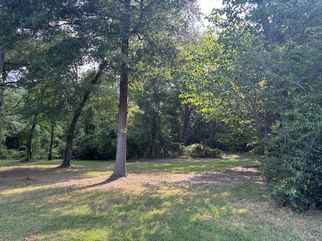 view of yard with a forest view