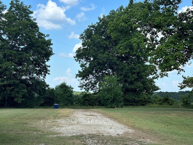view of road featuring a wooded view