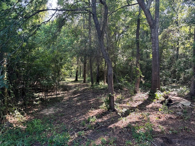 view of nature featuring a forest view